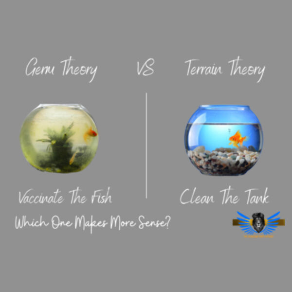 Women's Hoodie - Germ Theory VS Terrain Theory Design