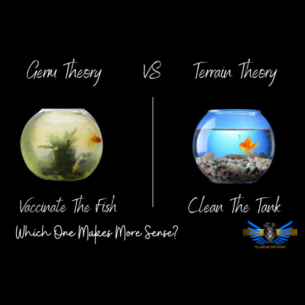 Men's Hoodie - Germ Theory VS Terrain Theory Design